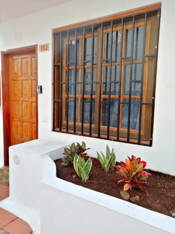 Aguamarina Apartment - Los Diamantes 2 Los Cristianos  Exterior photo
